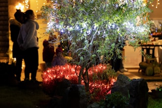 An outdoor scene featuring a tree adorned with white string lights. Nearby, red lights illuminate a bush, providing a warm glow. In the dim background, people are gathered, partially visible through a softly lit doorway, likely part of a festive gathering.