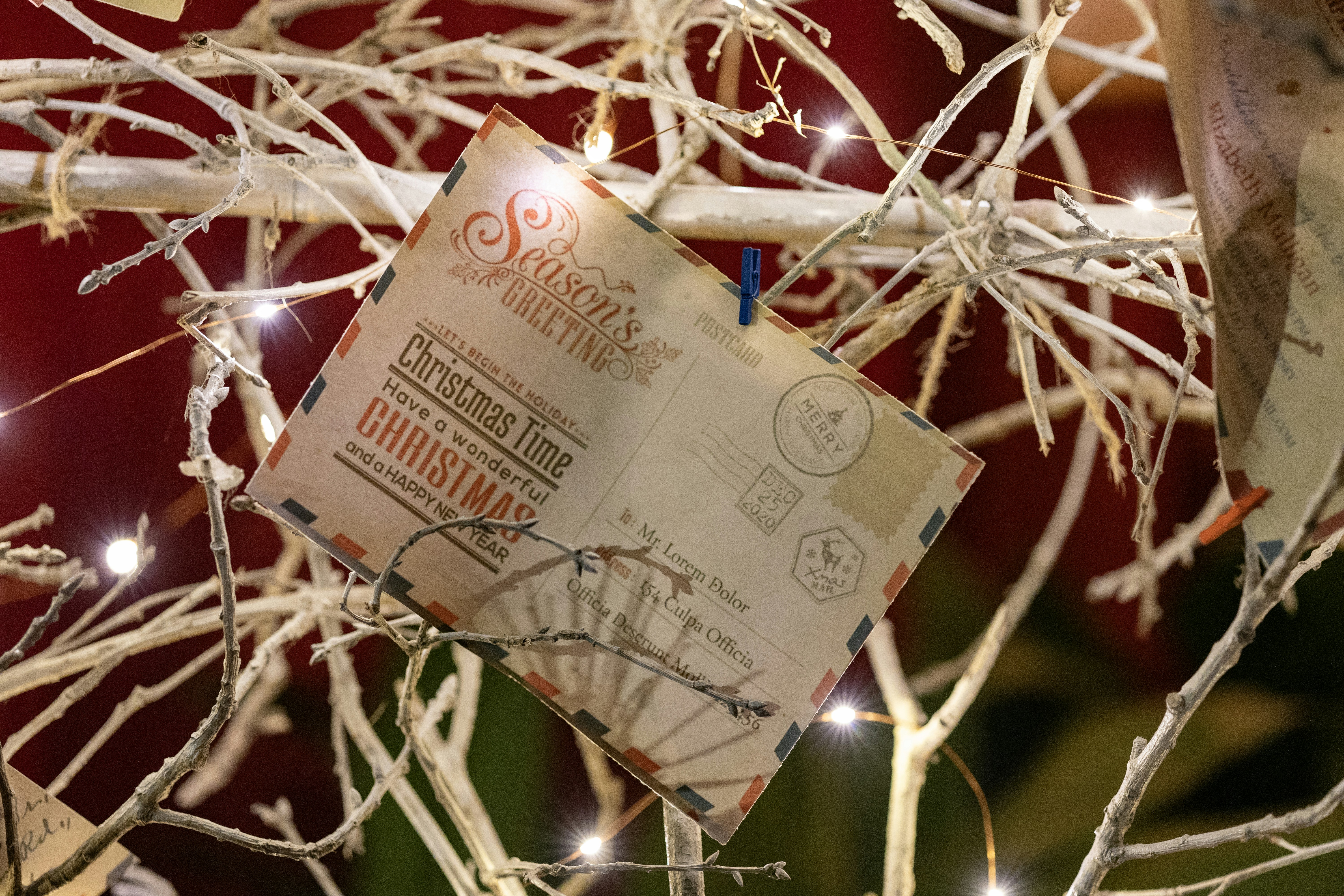 a piece of paper hanging from a tree