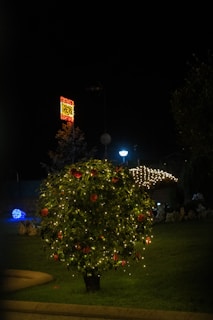 A small tree adorned with twinkling string lights and red flowers stands prominently in a garden. A patch of illuminated decorations is visible in the background, along with a streetlamp casting a gentle glow.