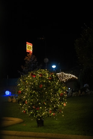 A small tree adorned with twinkling string lights and red flowers stands prominently in a garden. A patch of illuminated decorations is visible in the background, along with a streetlamp casting a gentle glow.