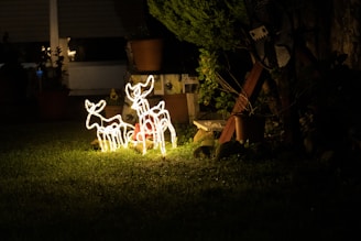 A nighttime scene featuring illuminated reindeer decorations on a grassy lawn. These light sculptures are positioned in a garden surrounded by plants and trees. The background shows a house with various potted plants and garden decor.
