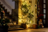 An indoor scene featuring a staircase with decorative tiles. A plant adorned with string lights occupies the space next to an old stone wall. Festive decorations, including a garland with baubles, embellish the bannister and a nearby door. A pot of poinsettias and other potted plants add to the festive atmosphere.