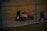 A race car drives on a dirt track, surrounded by a wire fence. The vehicle is dark in color with prominent red and white sponsor logos, including 'CRC'. The track surface appears dusty, and there are patches of dry grass in the surrounding area.