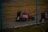 A race car drives on a dirt track, surrounded by a wire fence. The vehicle is dark in color with prominent red and white sponsor logos, including 'CRC'. The track surface appears dusty, and there are patches of dry grass in the surrounding area.