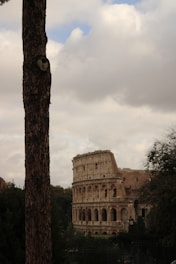 a very tall building sitting next to a tree