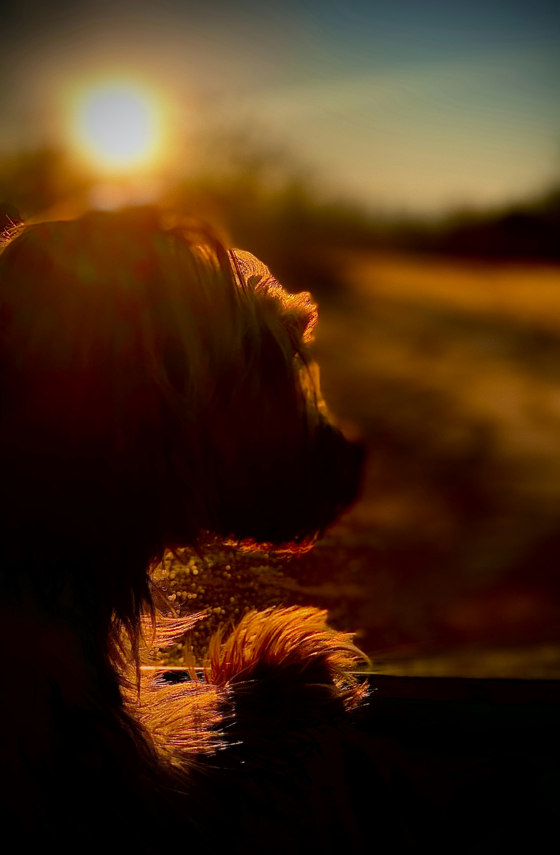 gray computer monitor