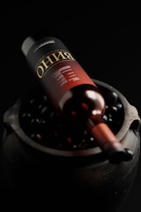 An elegant bottle of deep red wine resting on a rustic wooden table with grapes nearby.
