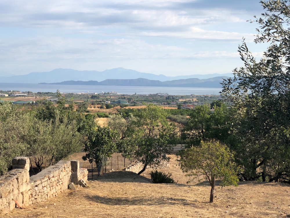 a stone wall and some trees and a body of water