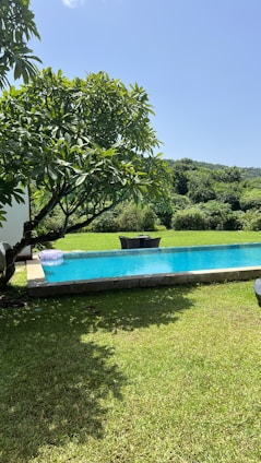 A serene backyard featuring a sleek modern plunge pool with natural stone decking and lush greenery surrounding it.