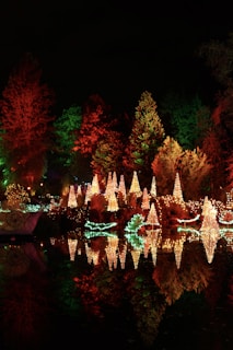 Colorful Christmas light decorations adorn a garden setting, with numerous trees lit up in various colors, primarily red, green, and white. The lights create a festive atmosphere and are reflected in a calm body of water below, enhancing the visual appeal.