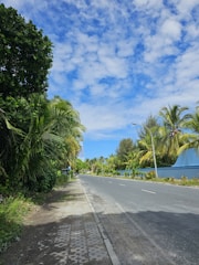 View of a paved road leading into the Palm Avenue project with clear skies.