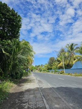 View of a paved road leading into the Palm Avenue project with clear skies.