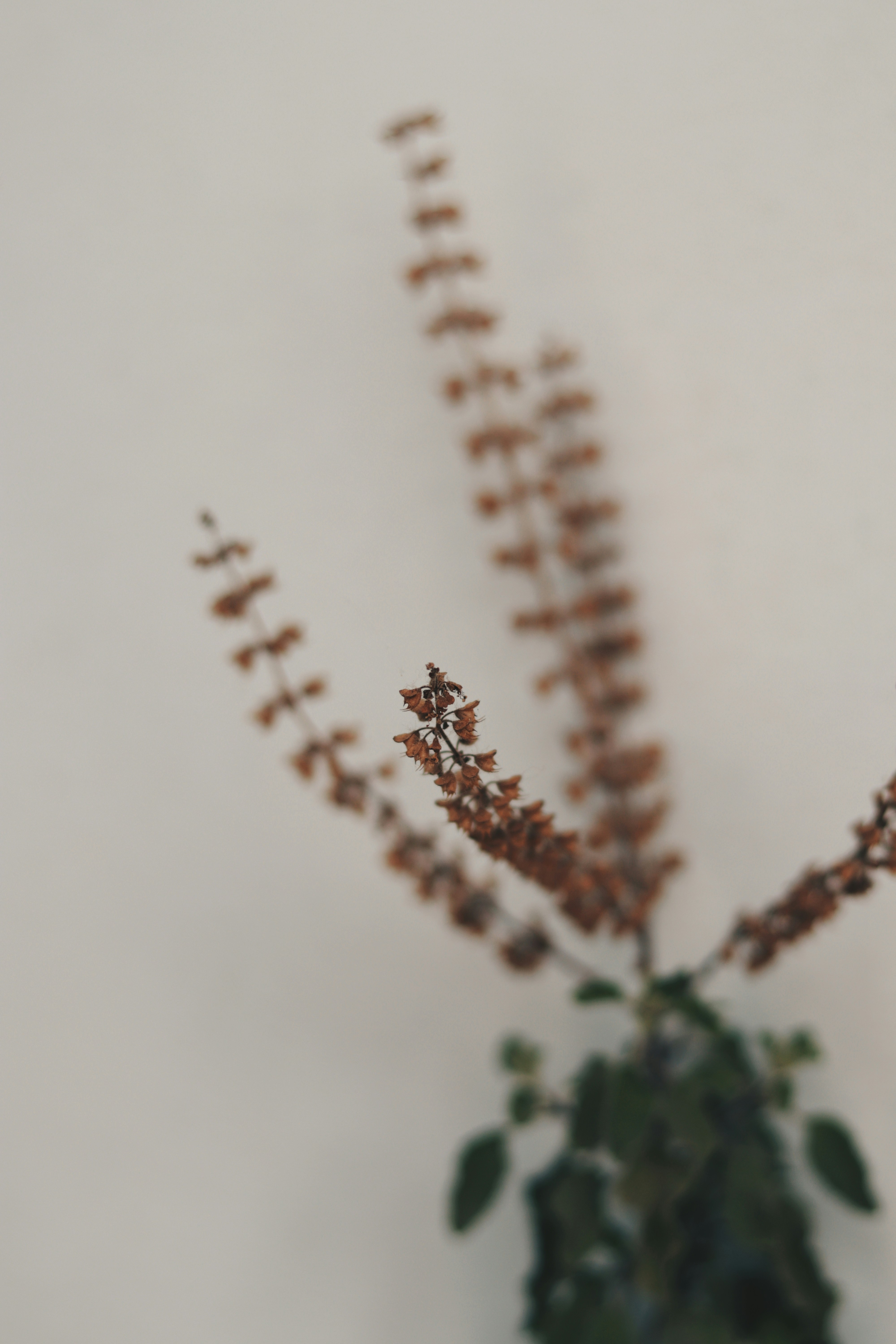 Photo by sincegameon