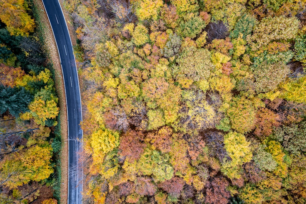 an aerial view of a road surrounded by colorful trees