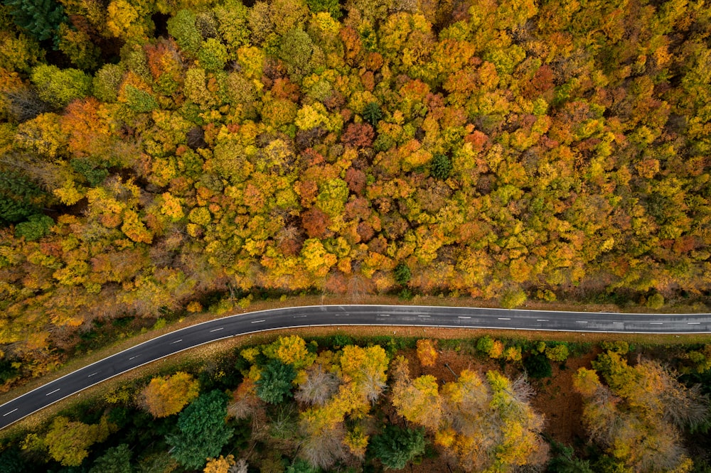 an aerial view of a road surrounded by trees