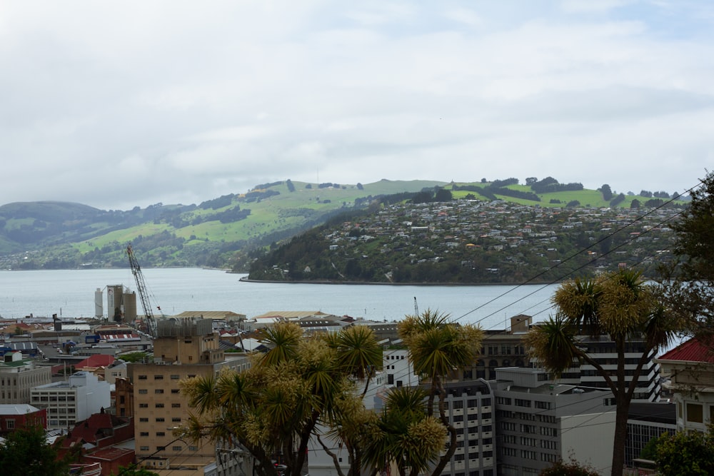 a view of a city and a body of water