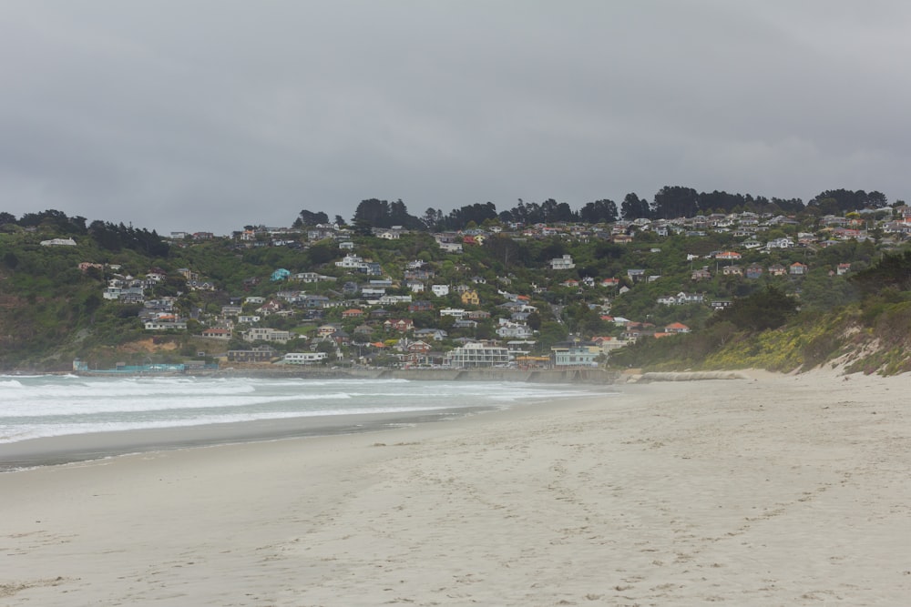 a sandy beach with houses on a hill in the background