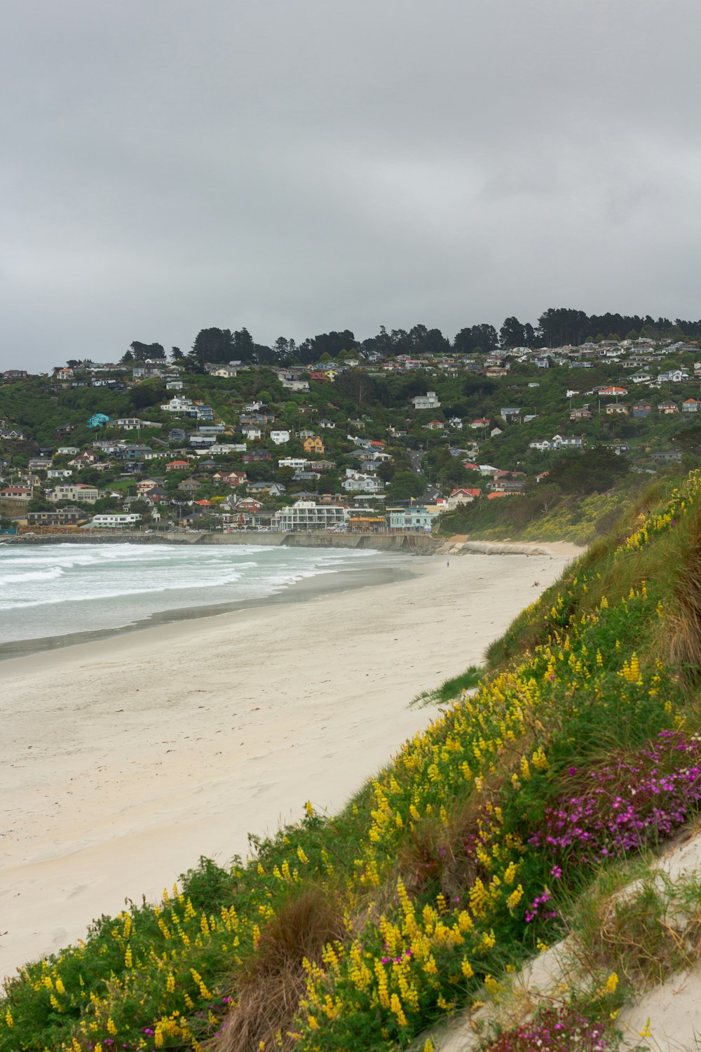 a view of a beach with a hill in the background