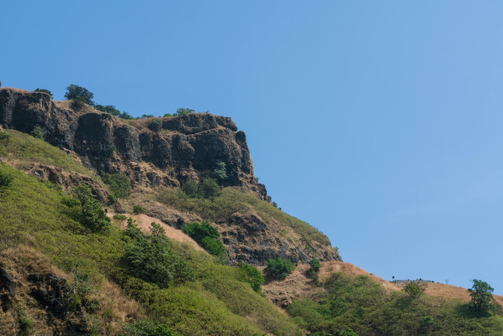 a very tall mountain with some trees on top of it