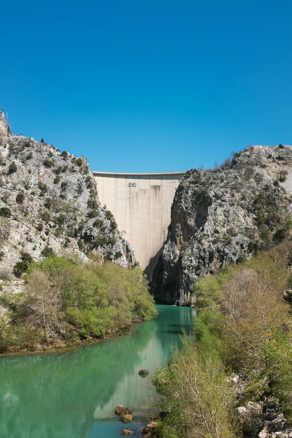 un gran puente sobre un río junto a un frondoso bosque verde