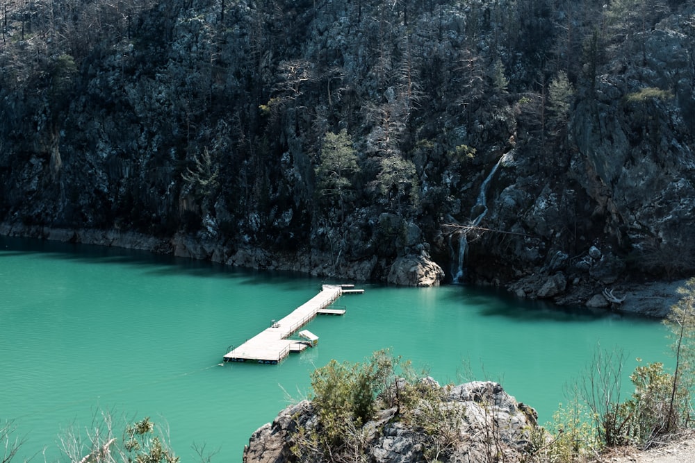 a body of water surrounded by a forest