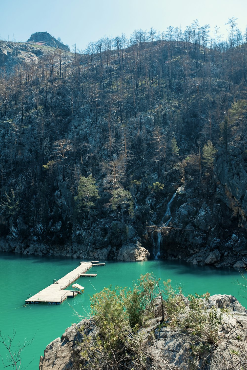 ein Gewässer, das von einem Wald umgeben ist