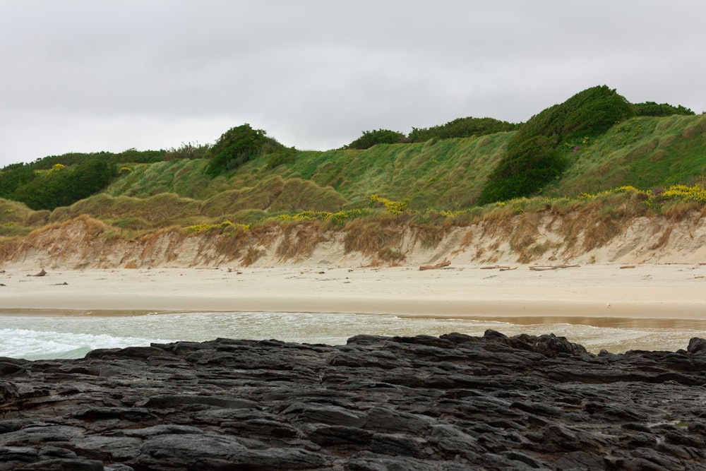 a sandy beach with a hill in the background