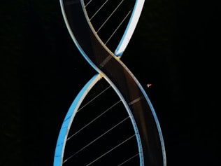 a very tall bridge with a very long curved structure