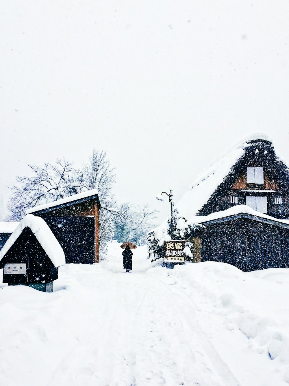 a couple of houses that are covered in snow