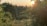 A tranquil landscape featuring a lush, green garden with a variety of plants and flowers. There is a metal fence running through the foreground. The sun is setting in the background, casting a warm glow over the scene and creating a serene atmosphere.