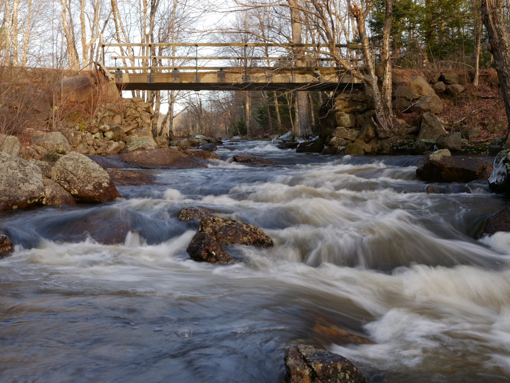 a river flowing under a bridge next to a forest