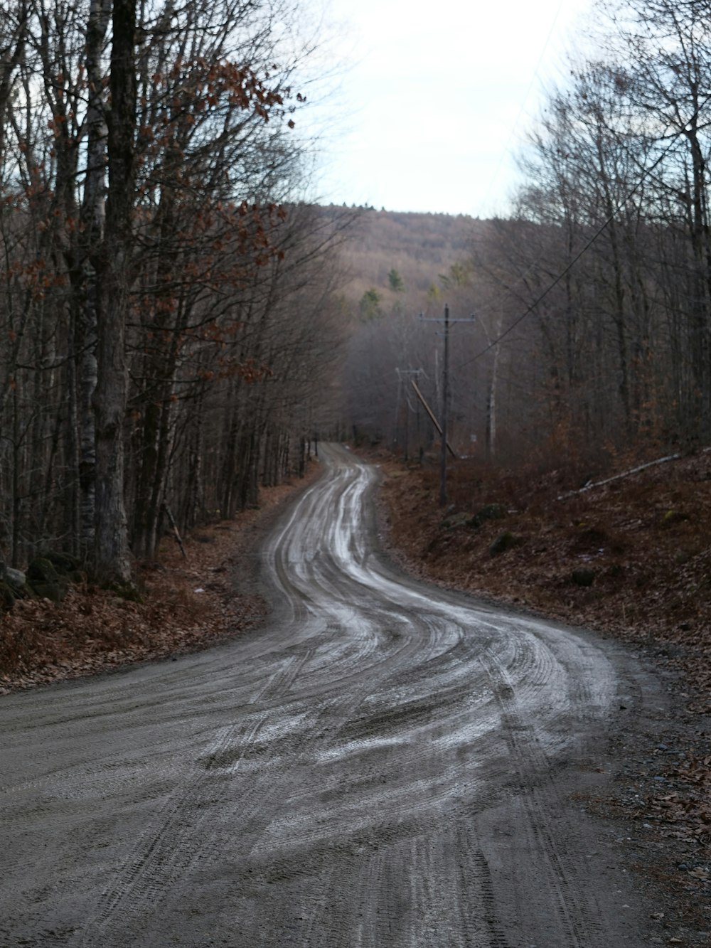 a dirt road in the middle of a wooded area