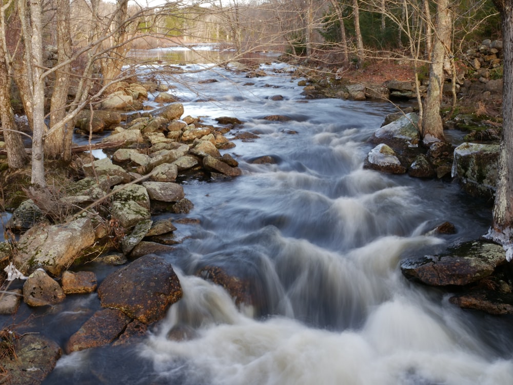 a river running through a forest filled with rocks