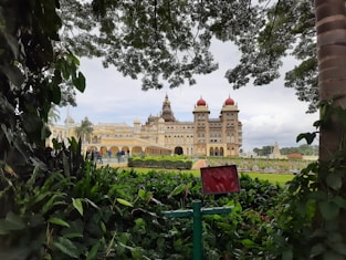 a view of a large building through some trees