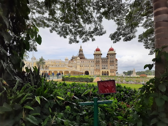 a view of a large building through some trees