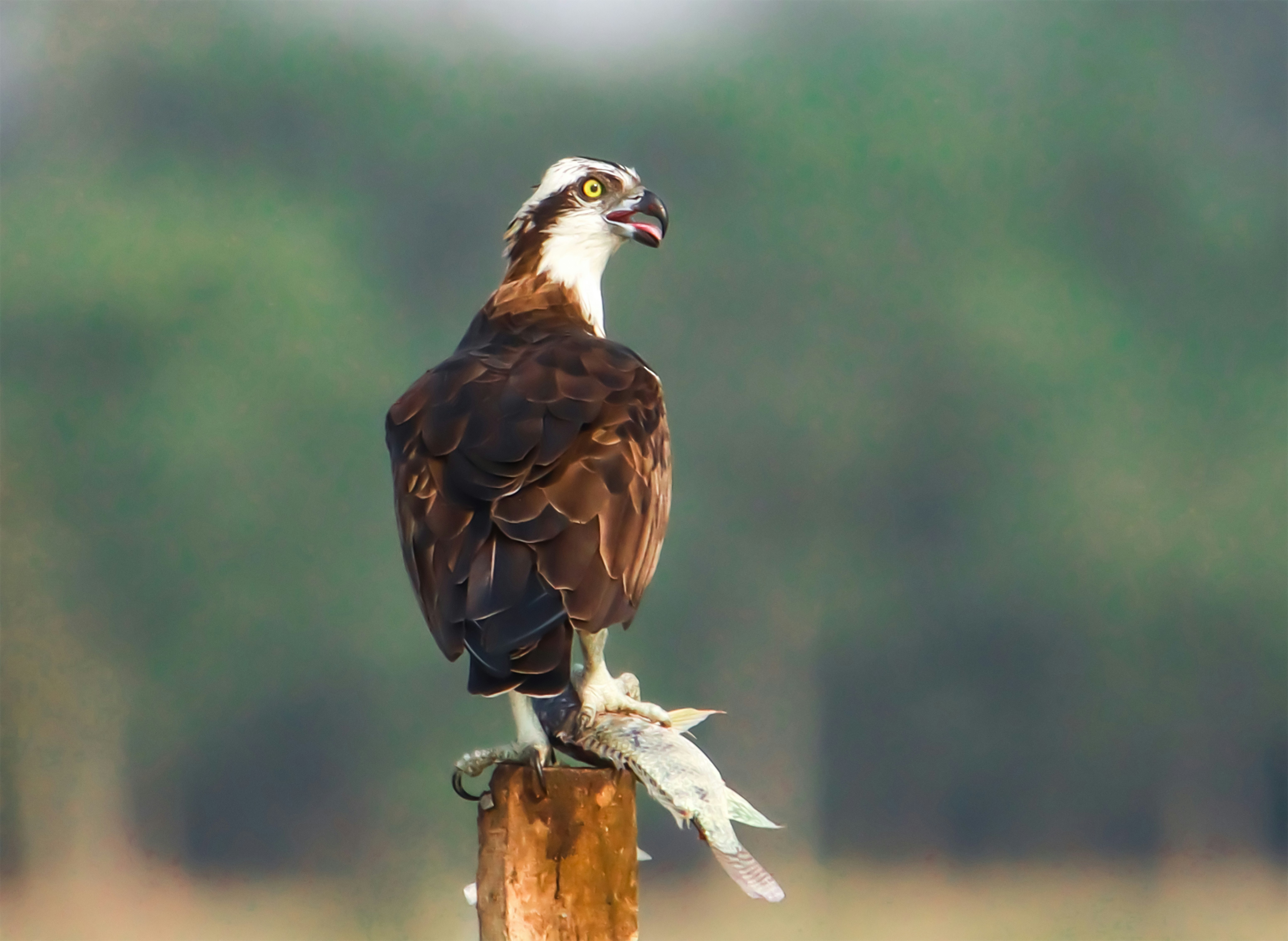 Photo by mhphotography13