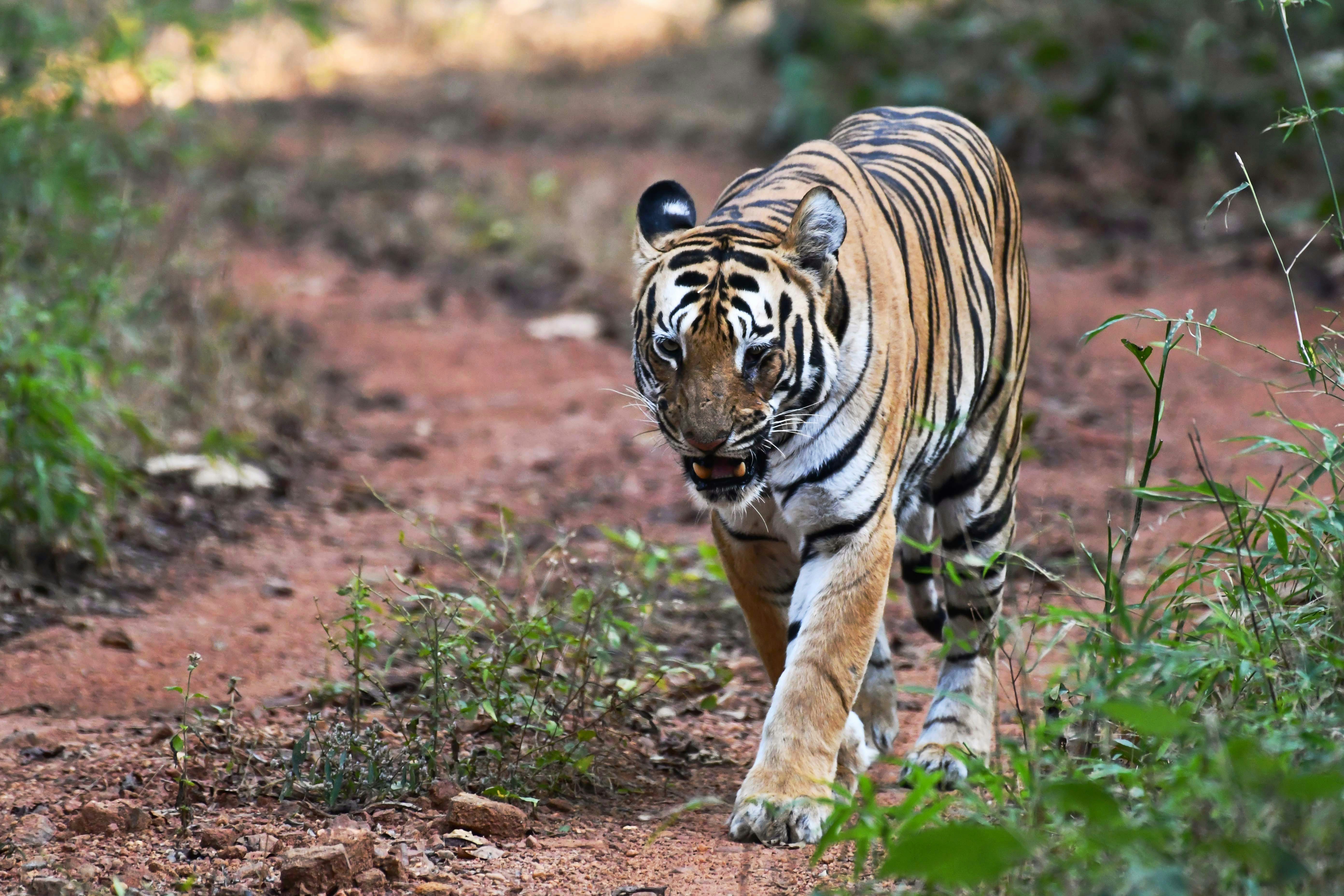 Photo by mhphotography13