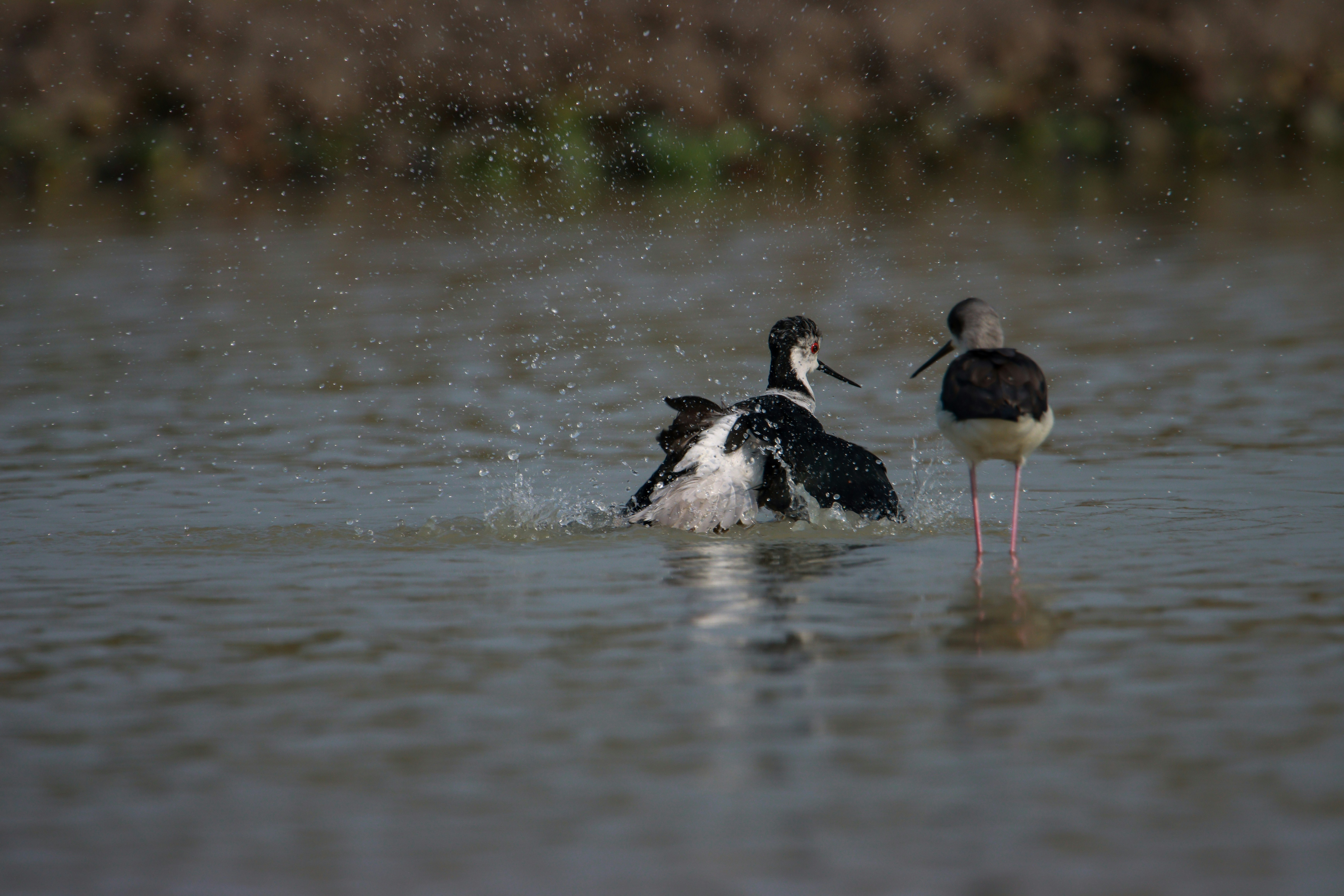 Photo by mhphotography13