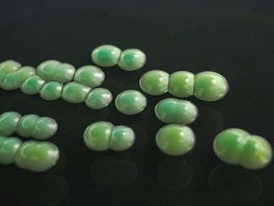 Close-up of translucent, glossy phytoplast bioplastic pellets reflecting soft light on a clean white surface.