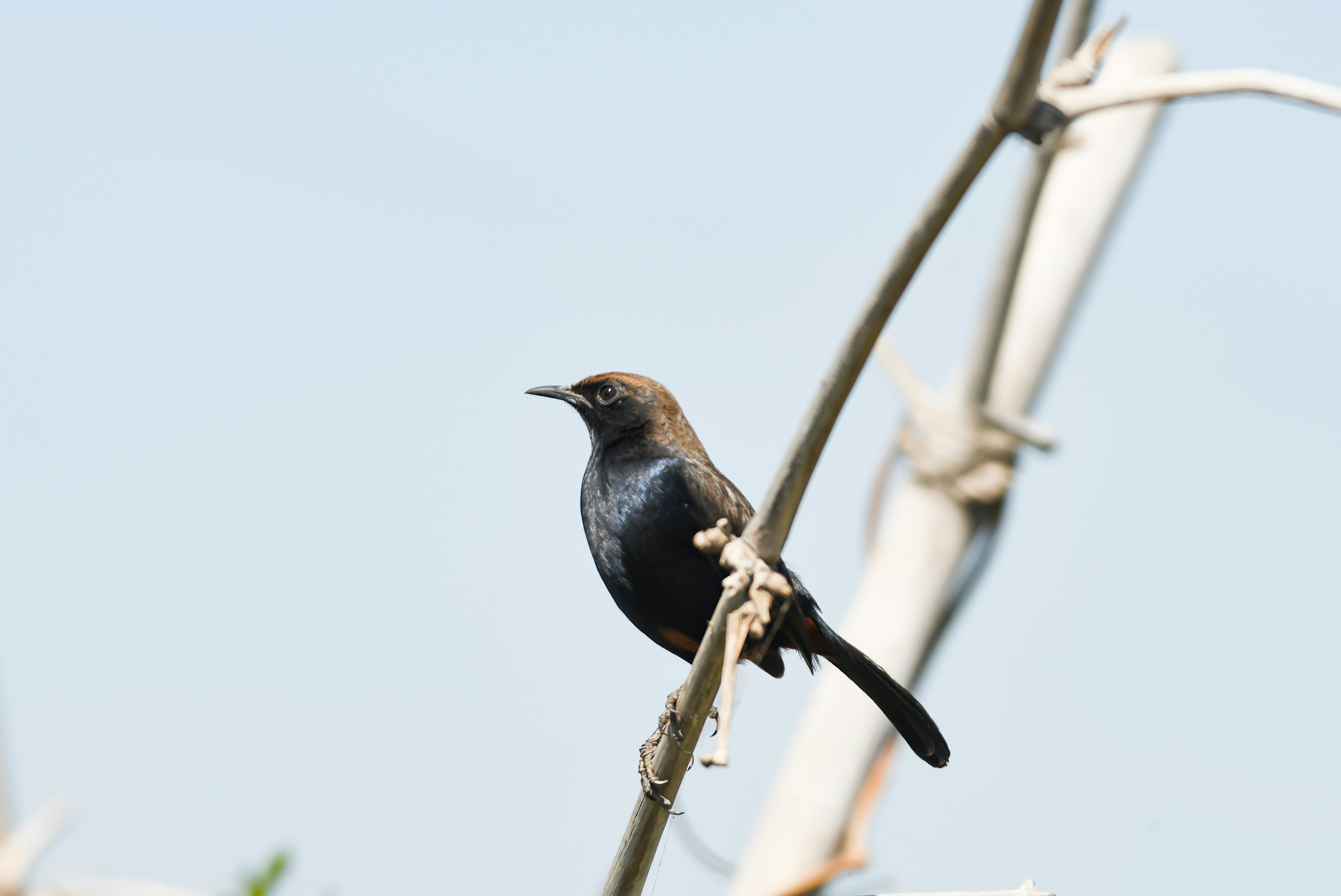 Photo by mhphotography13