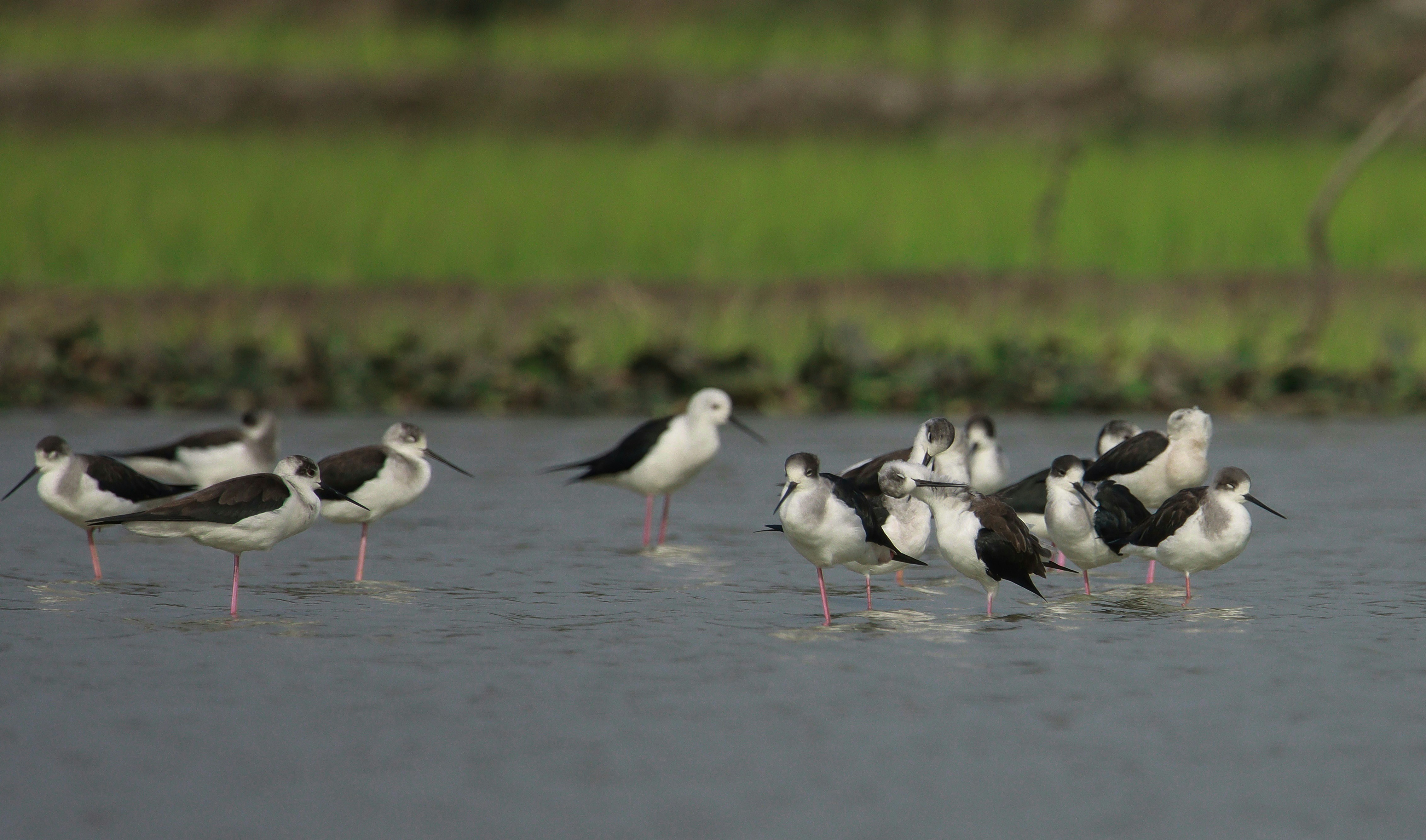 Photo by mhphotography13