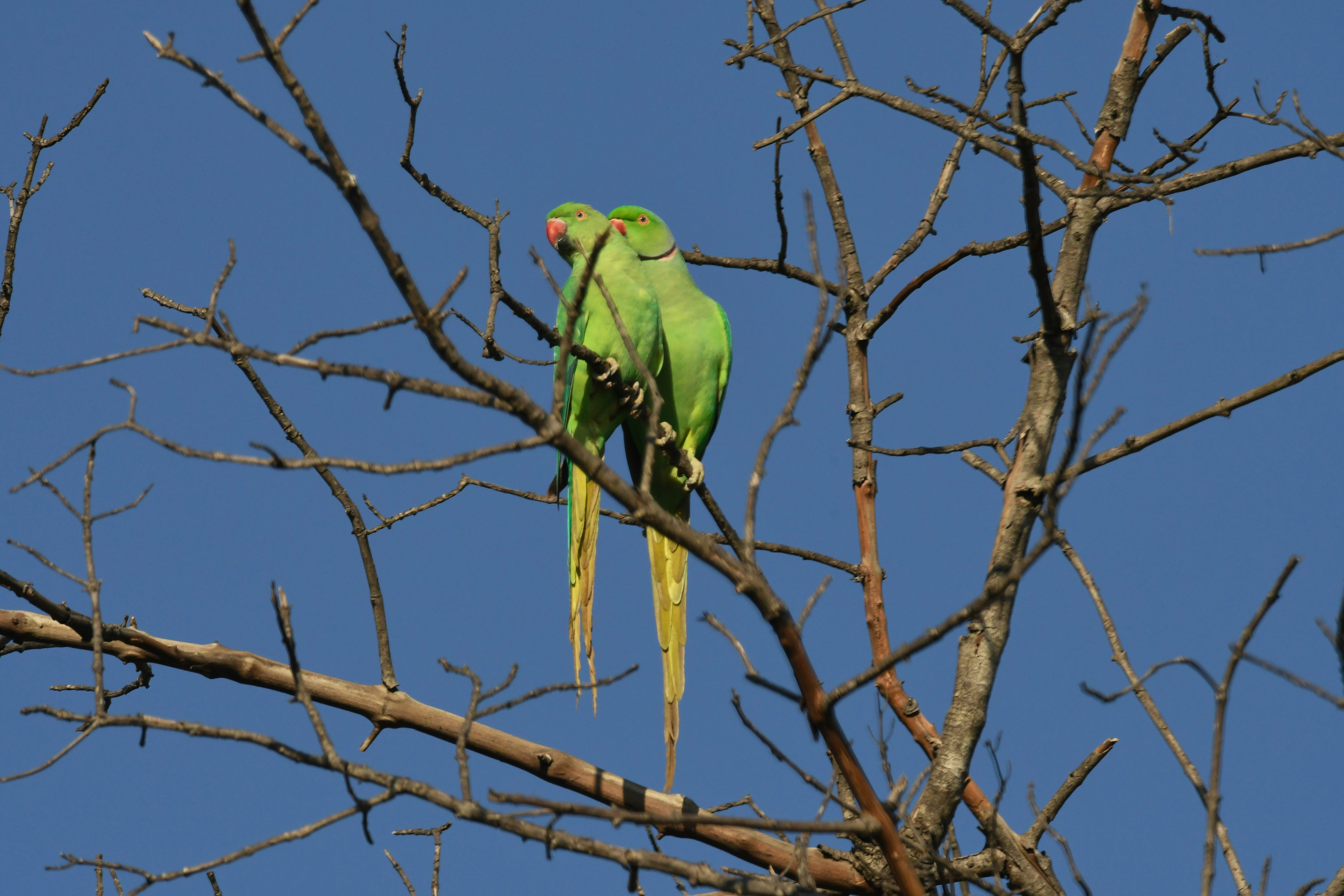 Photo by mhphotography13