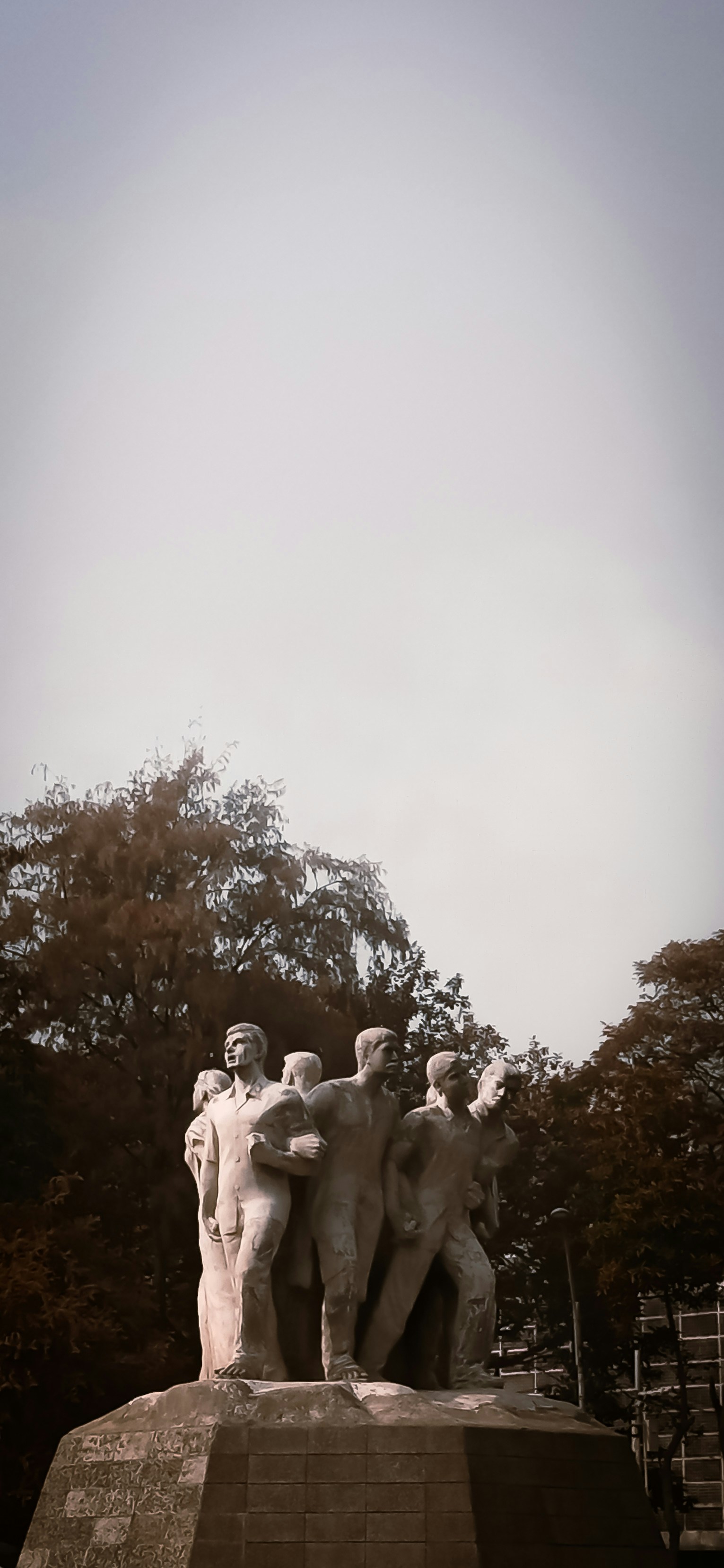 Photo by afnan05