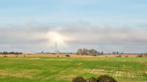 A wide landscape featuring a large field with lush green grass in the foreground. In the distance, there is a solar power tower surrounded by several rows of solar panels. The tower is brightly illuminated at the top, casting a glow that contrasts with the mostly cloudy sky. Several clusters of trees are scattered across the fields.