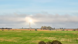 A wide landscape featuring a large field with lush green grass in the foreground. In the distance, there is a solar power tower surrounded by several rows of solar panels. The tower is brightly illuminated at the top, casting a glow that contrasts with the mostly cloudy sky. Several clusters of trees are scattered across the fields.