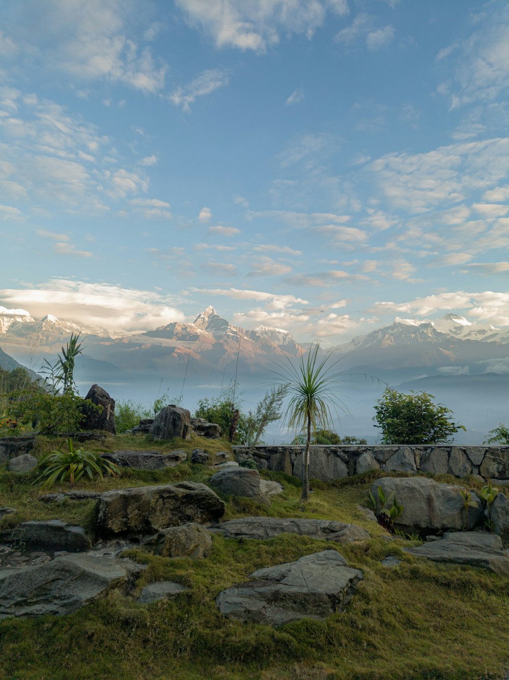 a grassy field with rocks and a mountain in the background