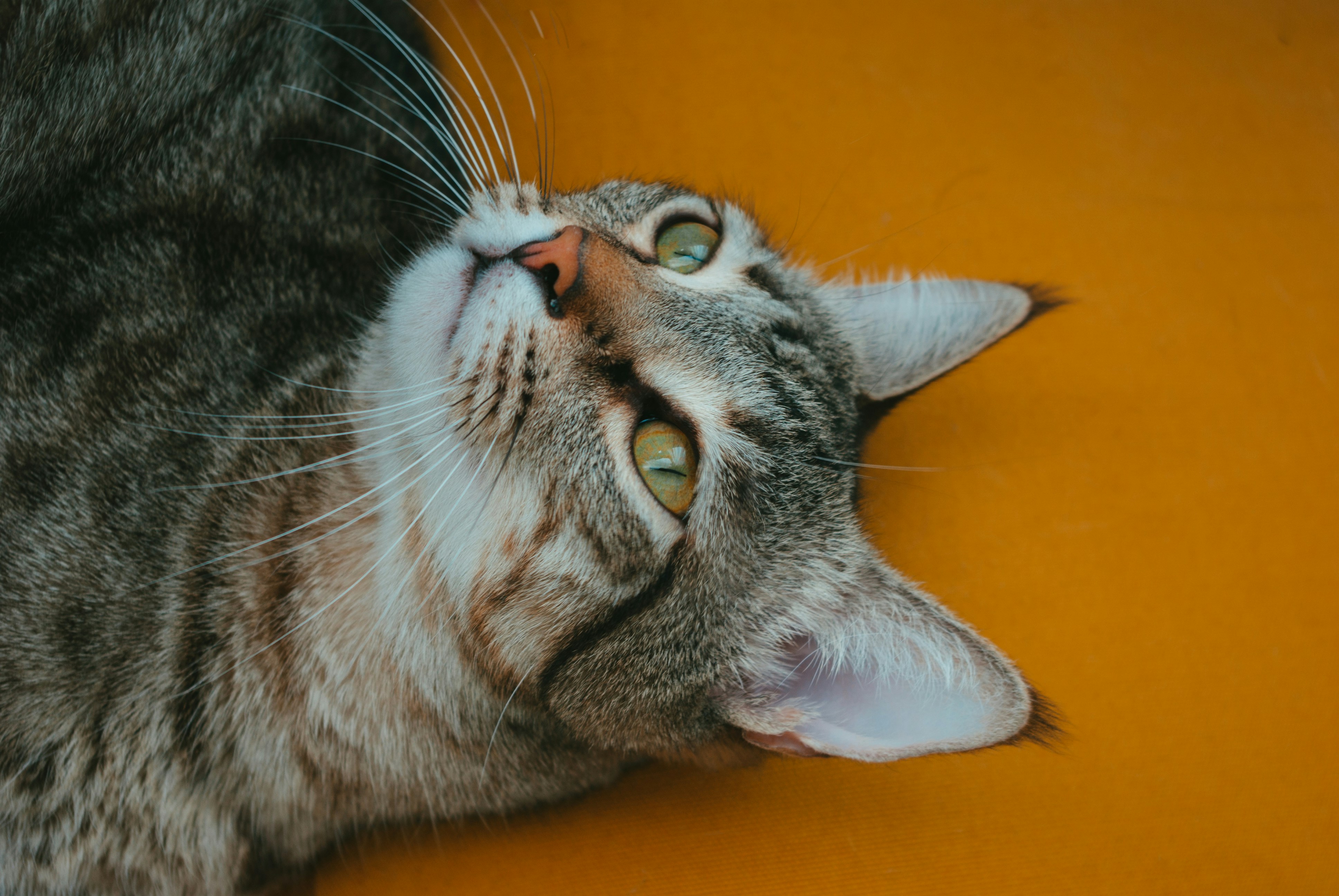 Photo by moonmoons_days