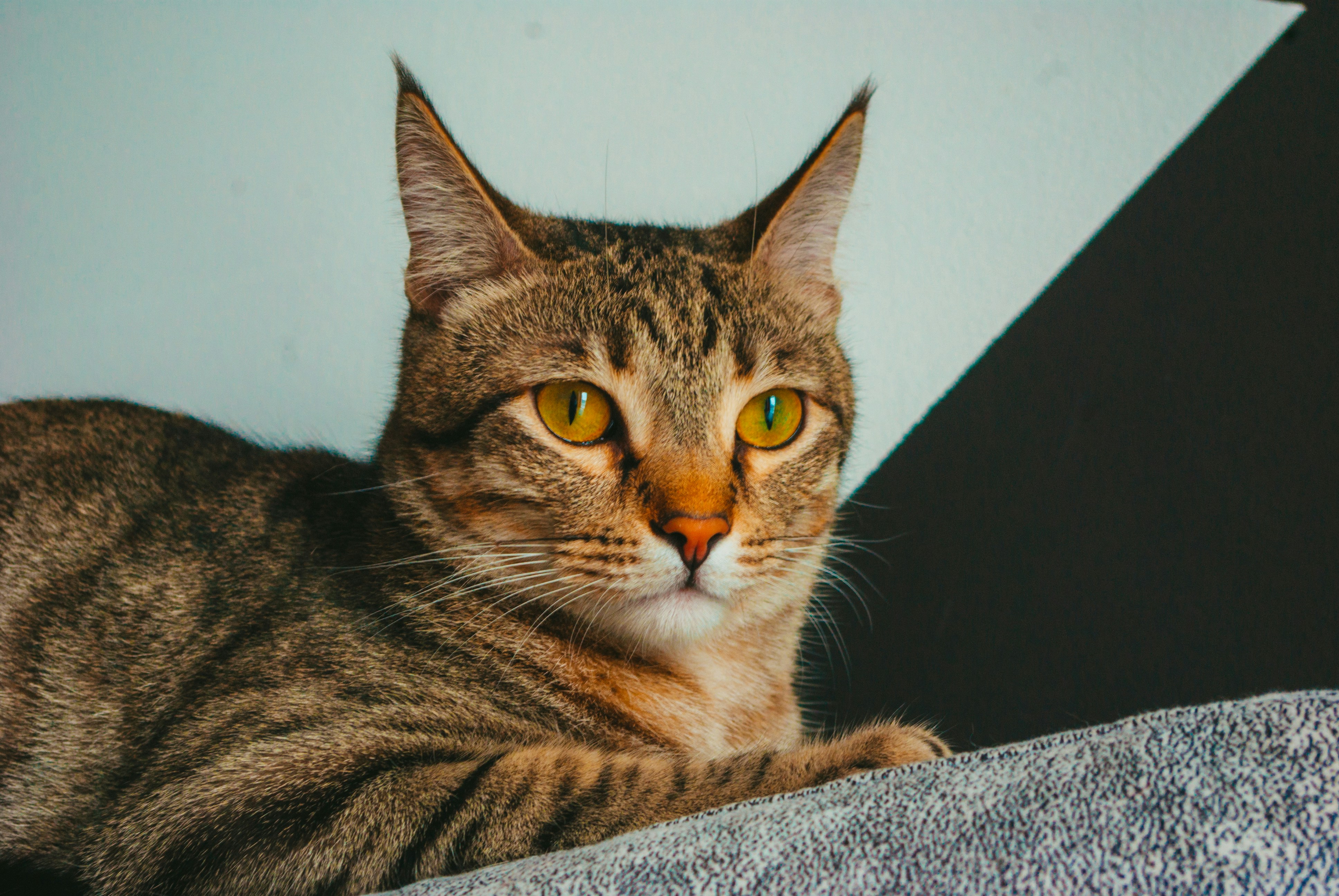 Photo by moonmoons_days