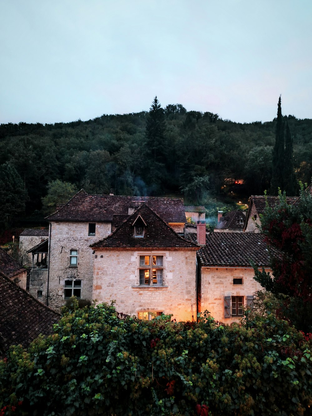 a building with a lot of windows next to a forest