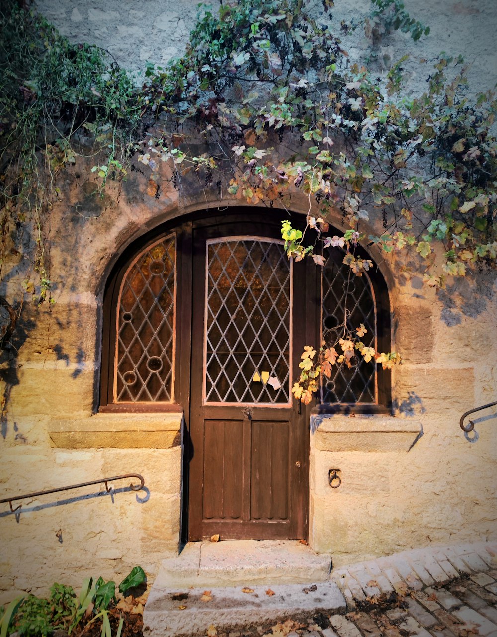 a door with a window and a plant growing out of it